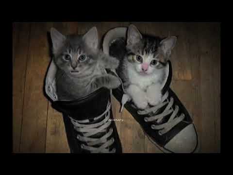 Видео: Бредишь - на руках (slowed/remix)