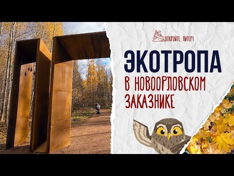 Видео: ЭКОТРОПА В НОВООРЛОВСКОМ ЗАКАЗНИКЕ В ПЕТЕРБУРГЕ!
