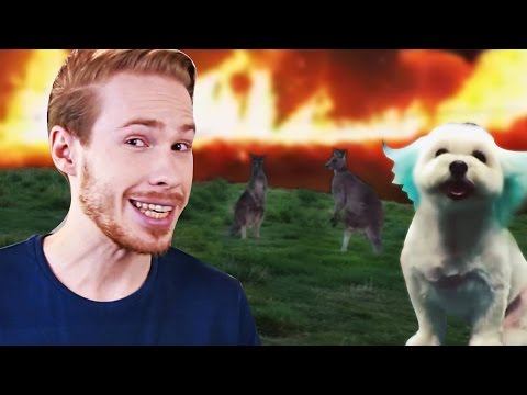 Видео: This is Хорошо - Кенгуриный район! ༼ຈل͜ຈ༽ﾉ