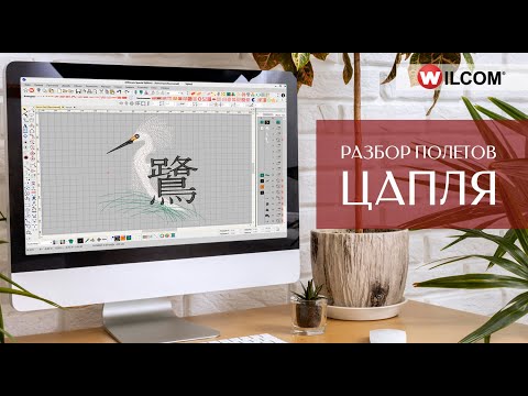 Видео: Уроки WILCOM ES: Разбор полетов. Файл "Цапля"