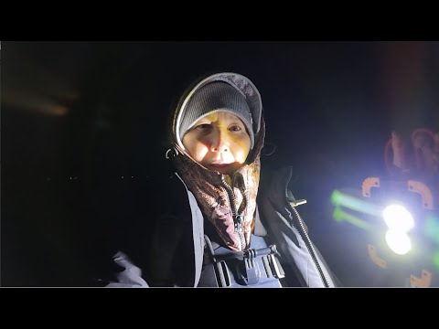 Видео: Однажды ночью в декабре, в холодной воде, на море собирали..