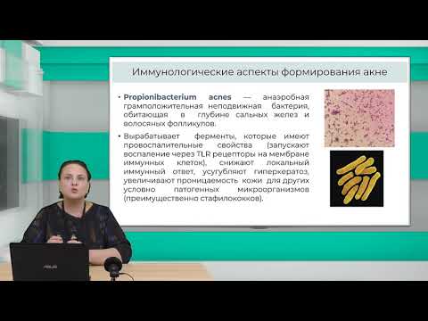 Видео: Акне.  Современный подход к терапии и уходу за кожей. Взгляд иммунолога