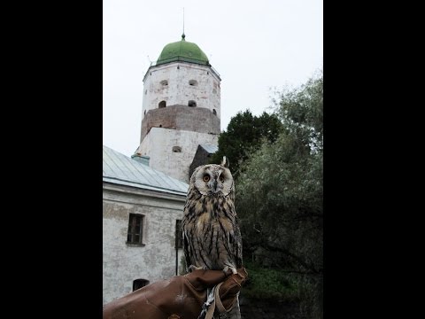 Видео: Прогулка по Выборгу