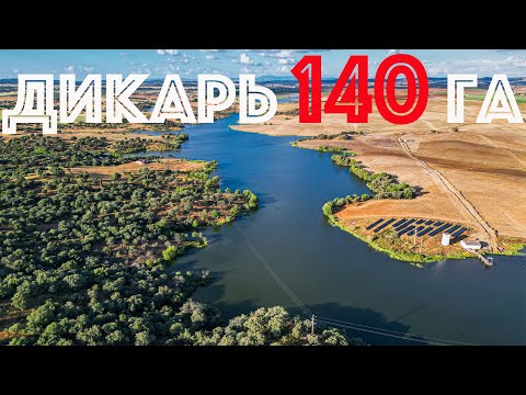 Видео: Карпфішинг на дикарі | Ловля карпа на дикаре | Карпфишинг дикарь