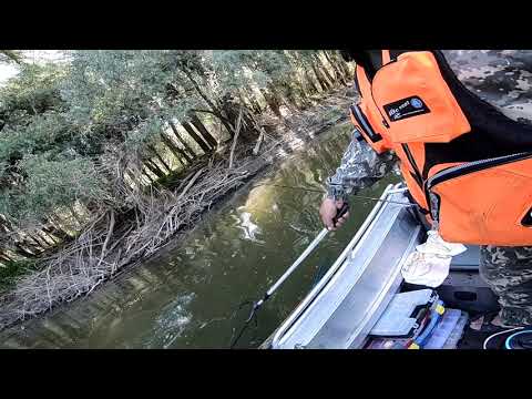 Видео: Рыбалка в Верх Сузуне  День 2. Ловля щуки и окуня.