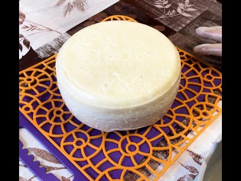 Видео: Голландский сыр приготовление в домашних условиях🧀🧀🧀🧀🧀🧀🧀🧀🧀🧀🧀