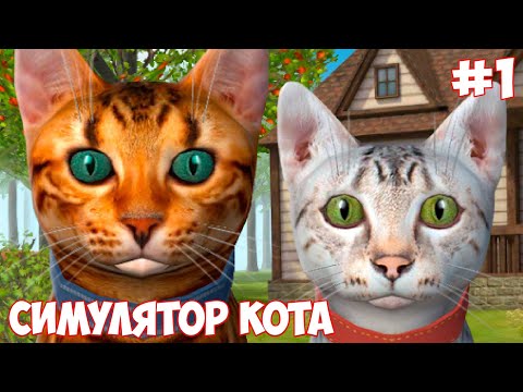 Видео: СИМУЛЯТОР КОТА и КОШКИ. Я - рыжий кот! Охота на мышь и паука в новой игре