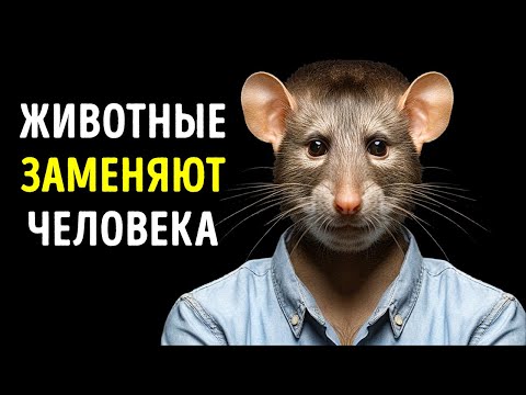 Видео: Эти животные умнее, чем вы думаете