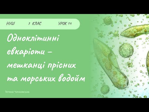 Видео: Одноклітинні евкаріоти – мешканці прісних та морських водойм