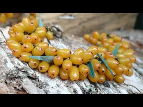 Видео: Облепиха из полимерной глины. Видеоурок.