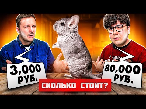Видео: Угадай РЕАЛЬНУЮ цену, чтобы ВЫЖИТЬ челлендж