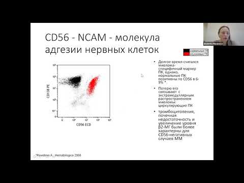 Видео: Роль иммунофенотипирования клеток костного мозга при множественной миеломе
