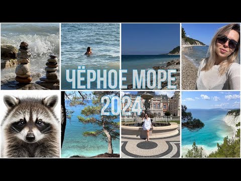 Видео: VLOG: ЧЕРНОЕ МОРЕ 2024 | Кемпинг «Сосновый берег» | Шато де Талю | Еноты