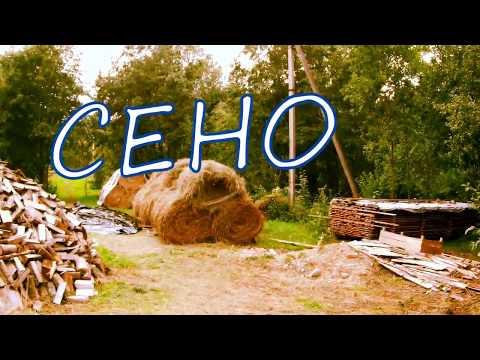Видео: Баннеры или плёнка? Что применить для укрытия сена?