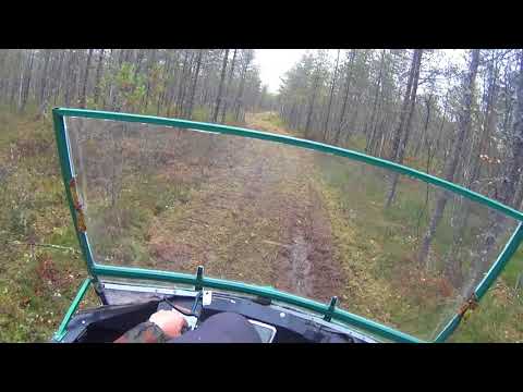 Видео: Втроем за клюквой на вездеходе Пелец Мини