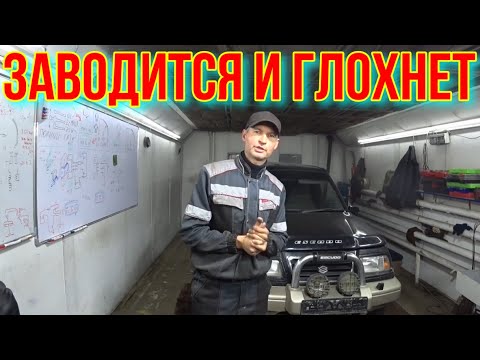 Видео: Suzuki ЗАВОДИТСЯ И ГЛОХНЕТ.