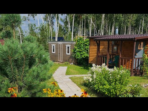 Видео: Дача. Середина августа. Скоро осень.