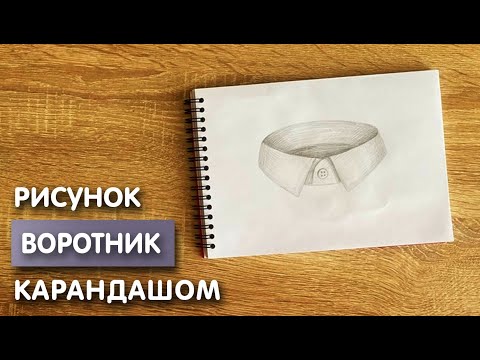 Видео: Как нарисовать воротник карандашом | Рисунок для начинающих поэтапно