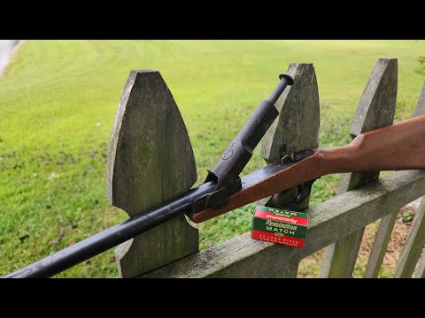 Видео: Редчайшая молодежная винтовка с одним выстрелом 22LR