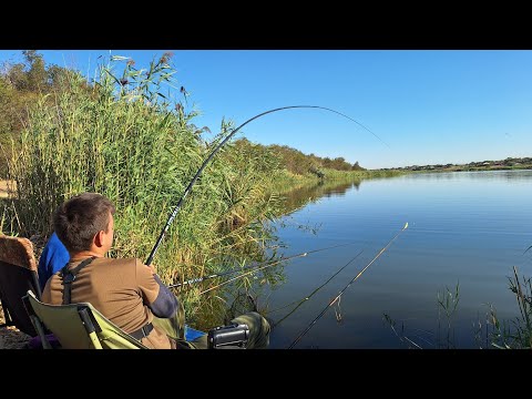 Видео: З дідусем на риболовлю. Рибачим на поплавочні вудки. Ловим карася та плітку. Рибалка 2025