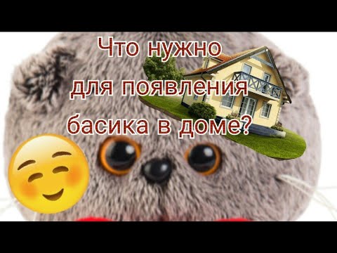 Видео: Что нужно для появления басика в доме?