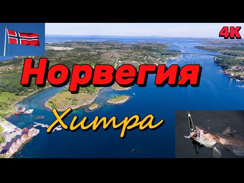 Видео: 4й день Незабываемой Рыбалки в Норвегии на острове Хитра, Dolmsundet Marina. 4K