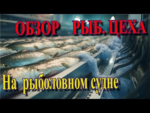 Видео: ⚓ Рыбный цех на судне — как обрабатывают рыбу прямо в море! Полный цикл от трала до упаковки 🐟