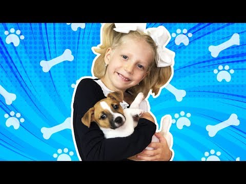 Видео: МИЛАНЕ КУПИЛИ СОБАКУ!!! ЩЕНОК У НАС ДОМА! НОВЫЙ ПИТОМЕЦ! КАК НАЗВАЛИ? КТО ЭТО??
