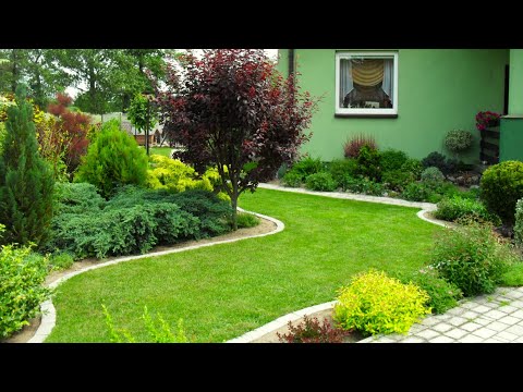 Видео: Ландшафтный дизайн сада Примеры красивых решений / Garden landscaping Examples of ideal solutions