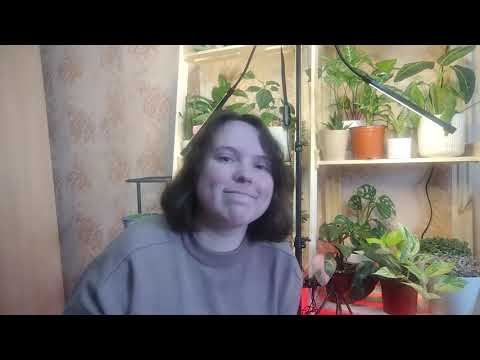 Видео: Зелёные находки с Авито за 100 рублей