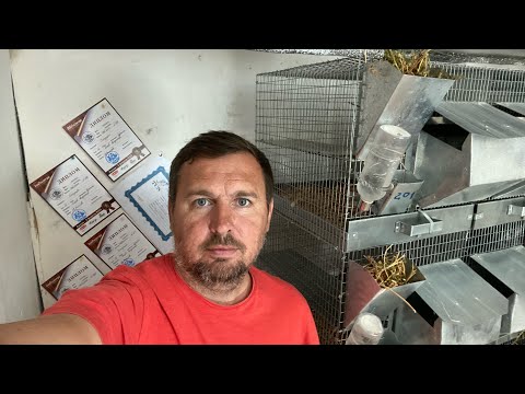 Видео: Новости моего хозяйства | Сельское хозяйство | Самый прибыльный сельскохозяйственный бизнес