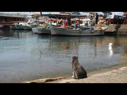 Видео: Прогулка по Кашу