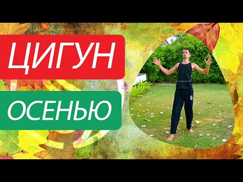 Видео: Цигун для осени. Цигун для начинающих. Уроки цигун.