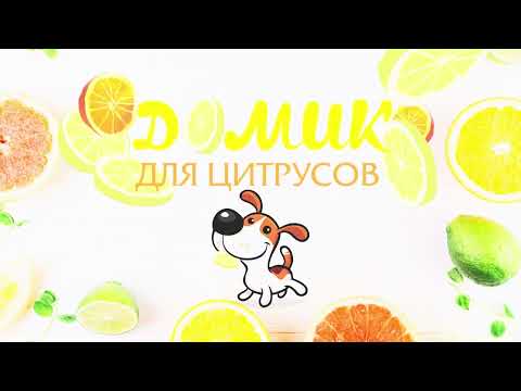 Видео: Вереснева мандрівка 🏡🌱🪴🍊🍋🍍☀️ 