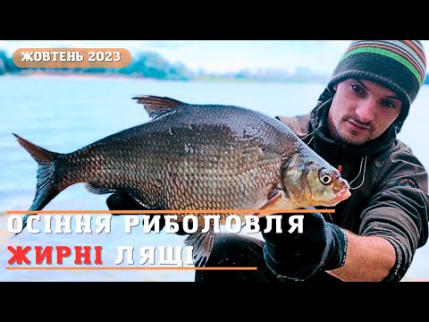 Видео: Ловимо ляща на фідер на Дніпрі🍀Як ловити ляща осінью? Ранкова рибалка в вітер 😁рибалка на ляща 2023