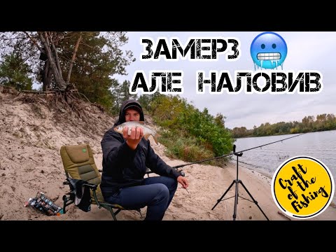 Видео: ЗАМЕРЗ 🥶 але НАЛОВИВ ❗️ Осіння ПЛОТВА на Десні