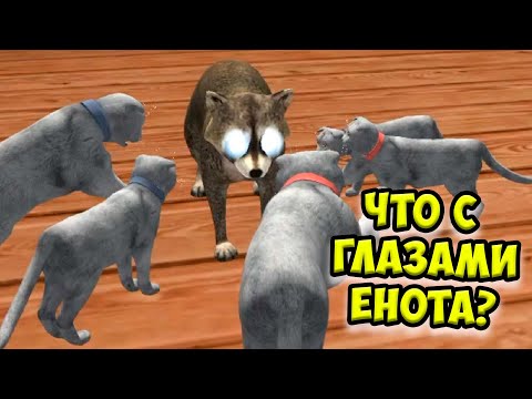 Видео: 😻Симулятор КОТА и КОШКИ🐾 Как победить босса в СИМЕ cat sim