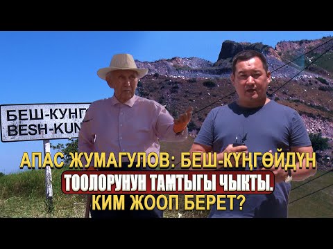 Видео: Апас Жумагулов: Беш-Күңгөйдүн тоолорунун тамтыгы чыкты. Ким жооп берет?