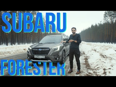 Видео: Протестировали новый Subaru Forester — и в городе было комфортно, и даже в лесу не застряли