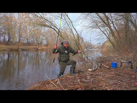 Видео: ВІДКРИТТЯ ФІДЕРНОГО СЕЗОНУ 2024. Рибалка на фідер весною