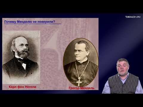 Видео: Чуб В.В. - Молекулярная генетика развития растений - 6. Эмбриональное развитие