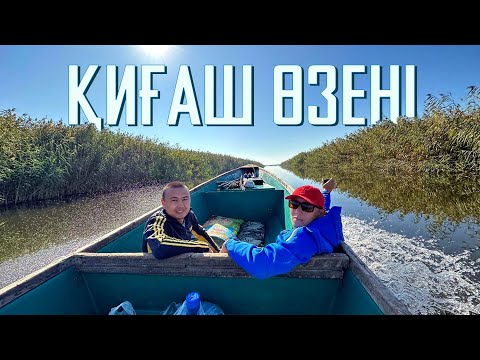 Видео: 300км ЖЕРДЕГІ ҚИҒАШ ӨЗЕНІНЕ БАЛЫҚ АУЛАУҒА БАРДЫҚ | ПОЕХАЛИ НА РЫБАЛКУ ЗА 300км ОТ ДОМА НА РЕКУ КИГАШ