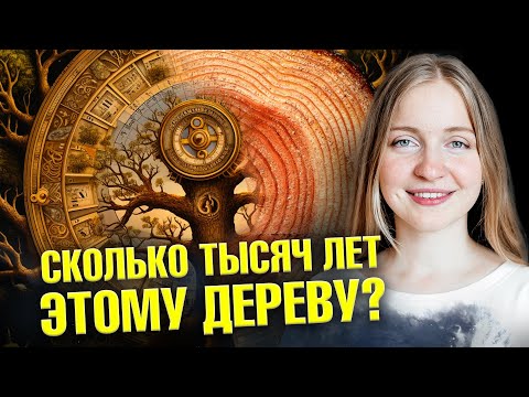 Видео: Сколько лет этому артефакту? Секреты дендрохронологии | Ученые против мифов 21-17