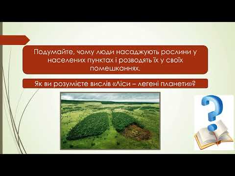 Видео: Яка роль повітря у природі. ЯДС 3 клас НУШ. Вчитель Яременко І.І.