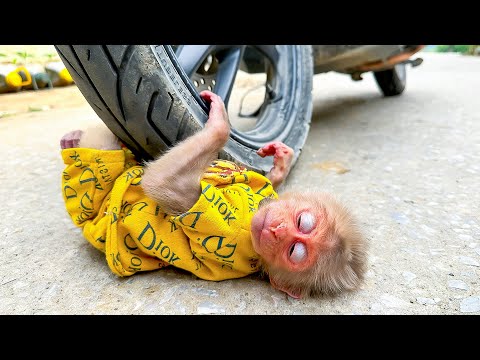 Видео: Что сделает мама, когда Каки настаивает на том, чтобы пойти с ней на рынок?