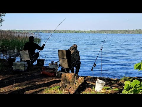 Видео: Лещи и Караси После Нереста! Рыбалка с Ночевкой. Карась и Лещ на Фидер на Чигиринском водохранилище
