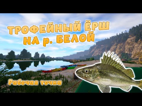 Видео: Русская рыбалка 4 - ЁРШ ТРОФЕЙНЫЙ! РАБОЧАЯ ТОЧКА ДЛЯ ЗАКРЫТИЯ! НА р. Белая!