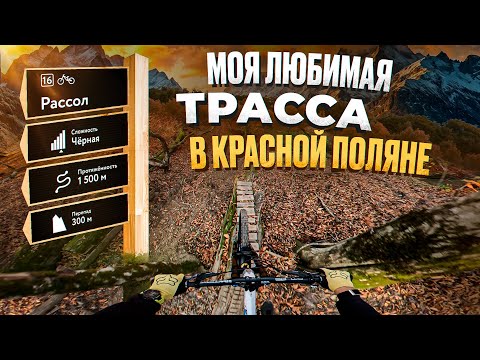 Видео: Черная трасса РАССОЛ | Красная Поляна 2025
