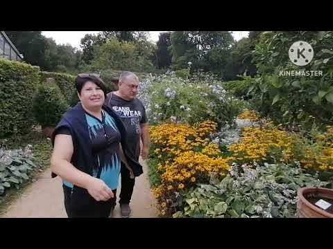 Видео: Ботанический сад
