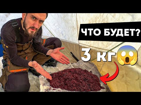 Видео: ВЫСЫПАЛ МОТЫЛЯ В ПУСТУЮ ЛУНКУ И ОХРЕНЕЛ!!!